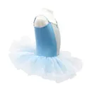 3-4 year old Disney Princess Sparkling TuTu