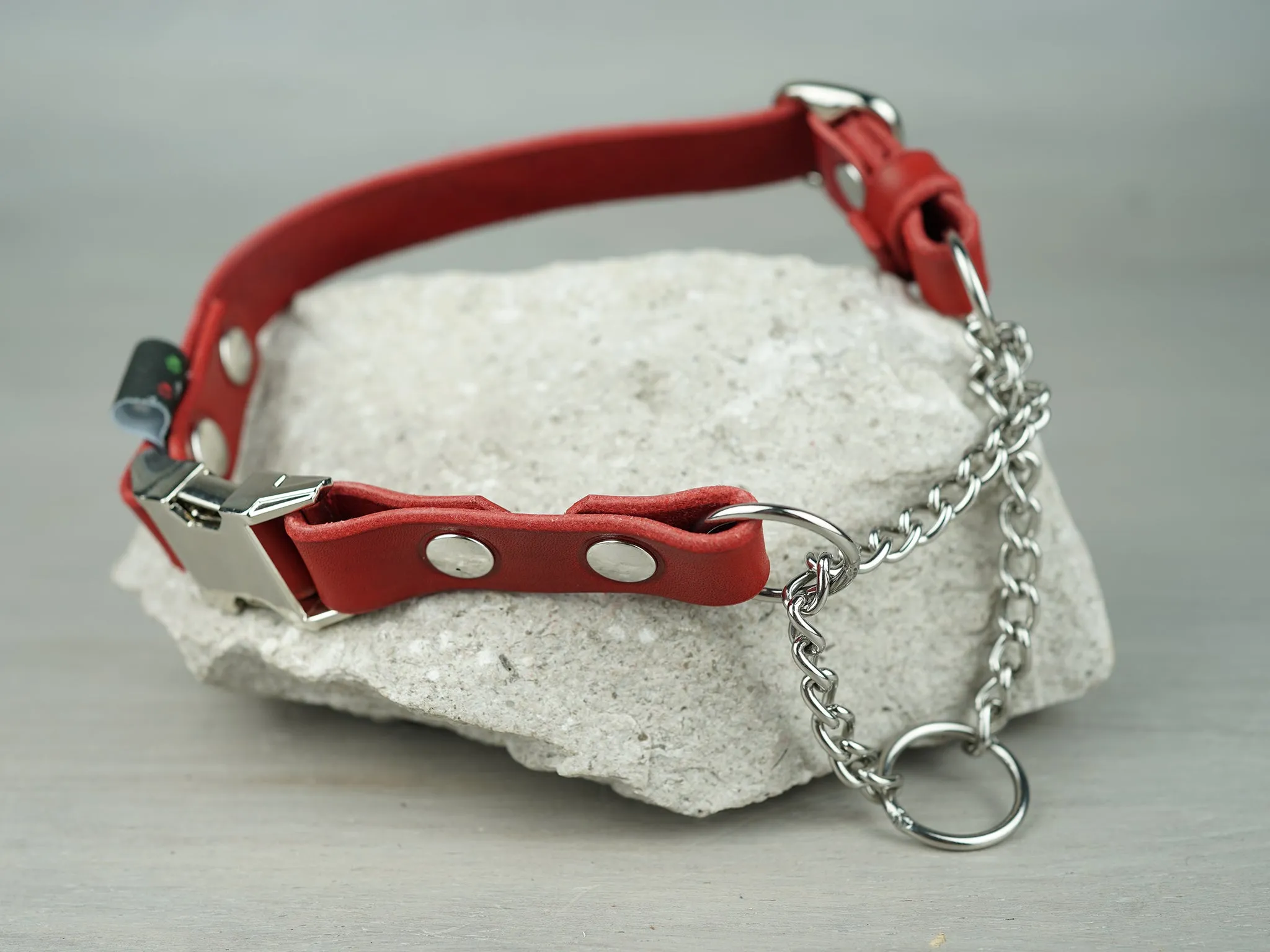 Adjustable Leather Martingale Dog Collar with Quick Release Buckle