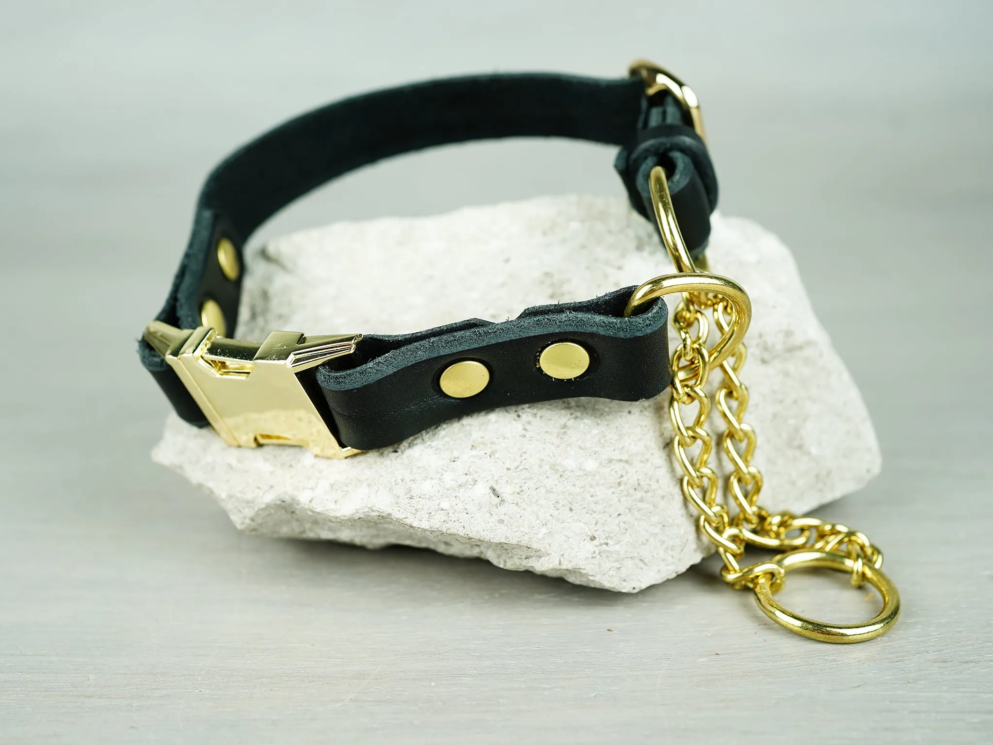 Adjustable Leather Martingale Dog Collar with Quick Release Buckle