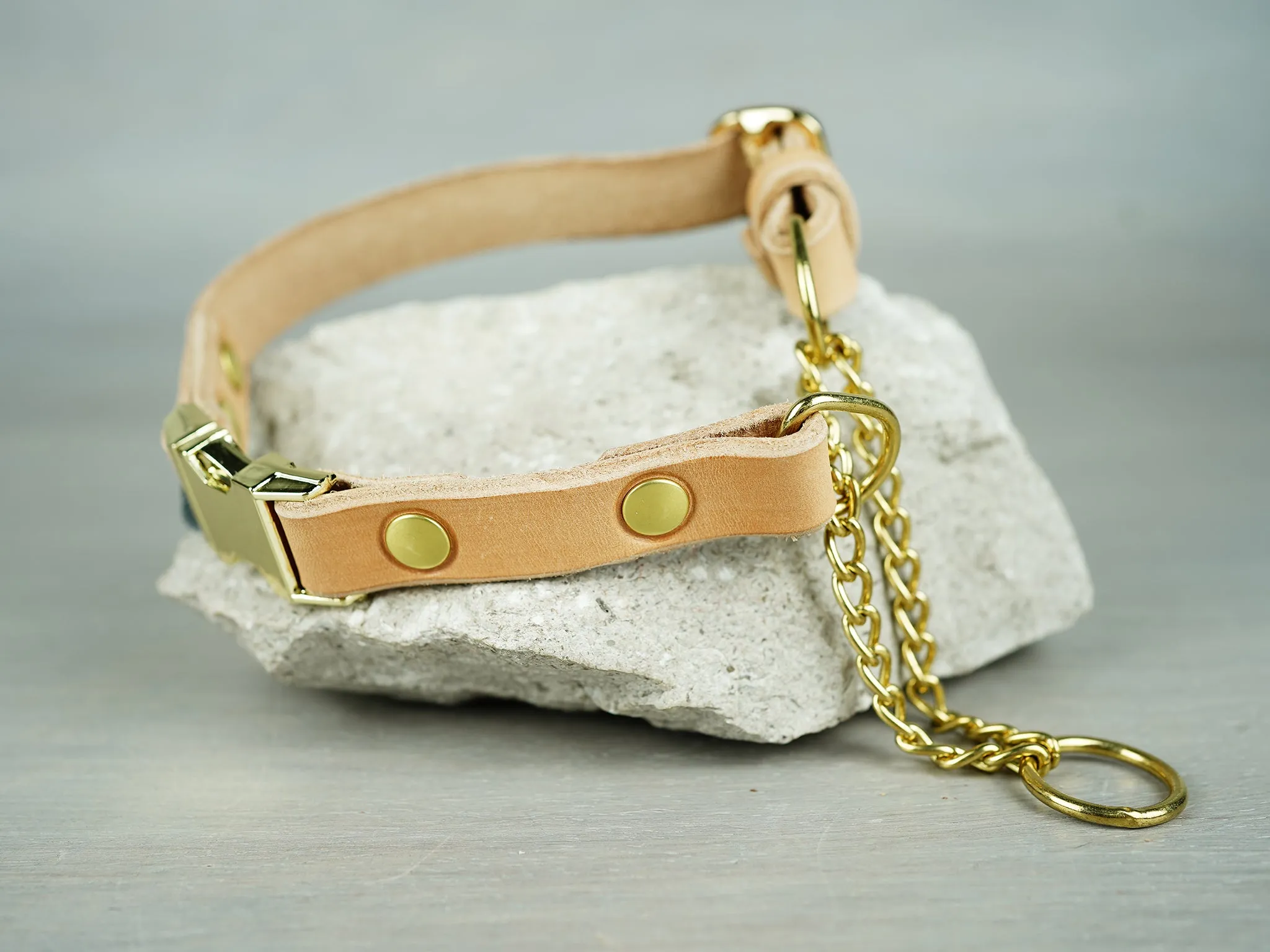 Adjustable Leather Martingale Dog Collar with Quick Release Buckle