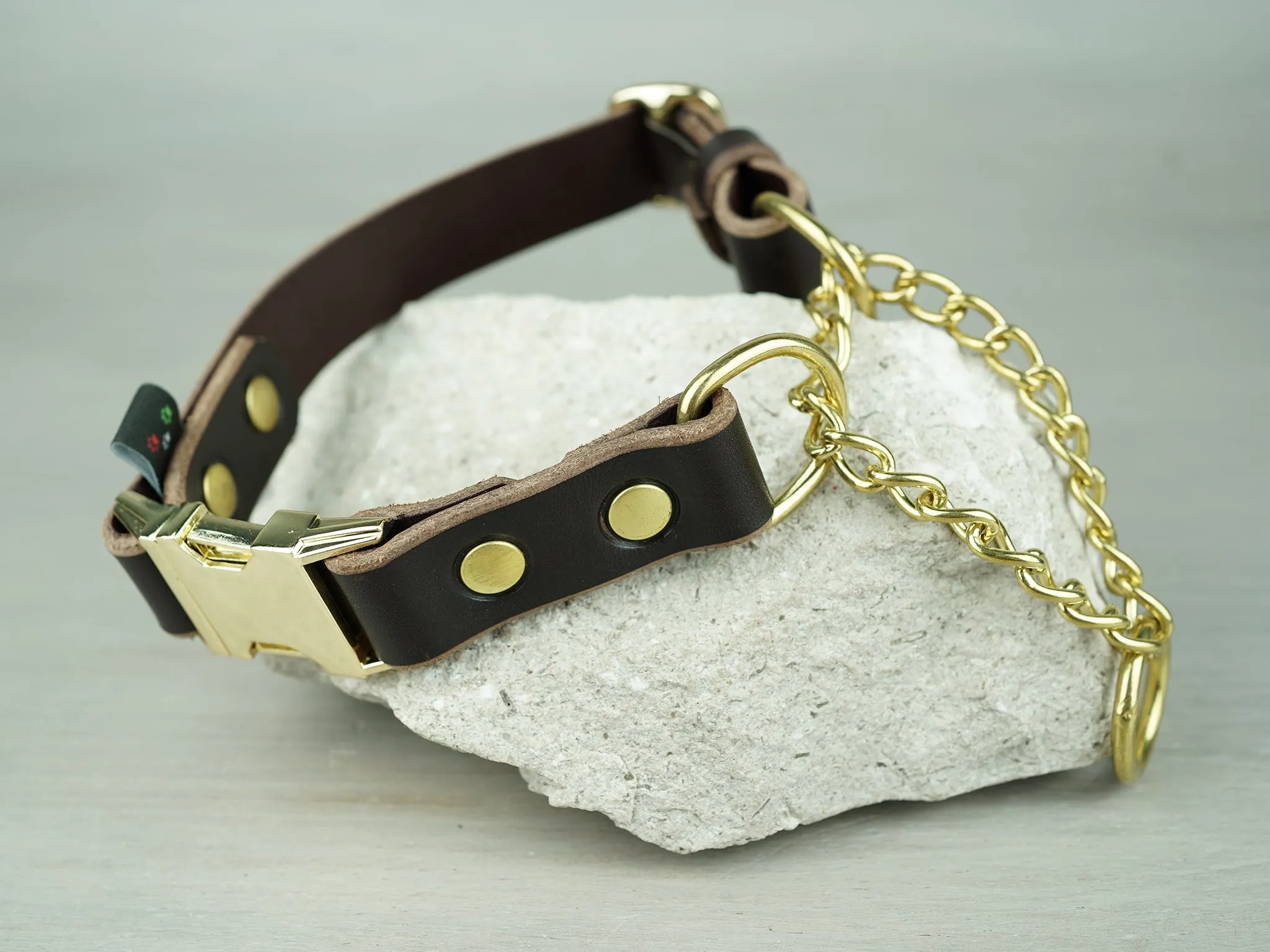Adjustable Leather Martingale Dog Collar with Quick Release Buckle
