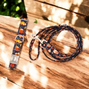 Fall Feast | Collar and Leash Set