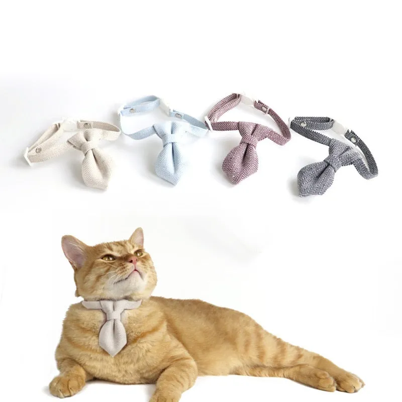 Going Out In Style Bowknot and Tie Breakaway Collar.