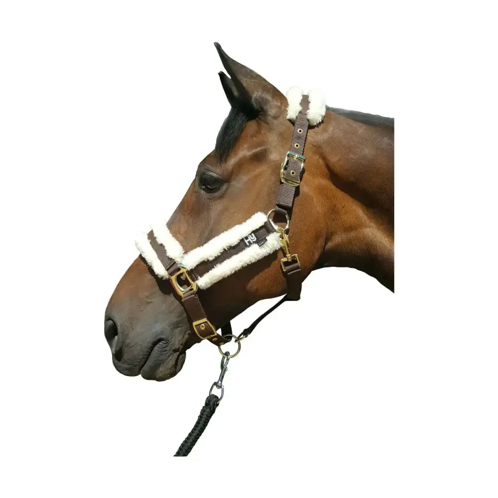 Hy Sheepskin Head Collar
