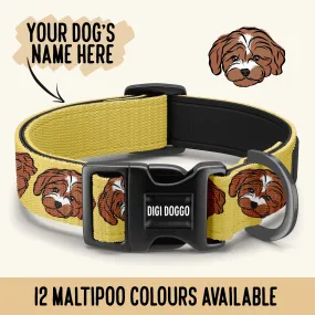 Maltipoo Dog Collar