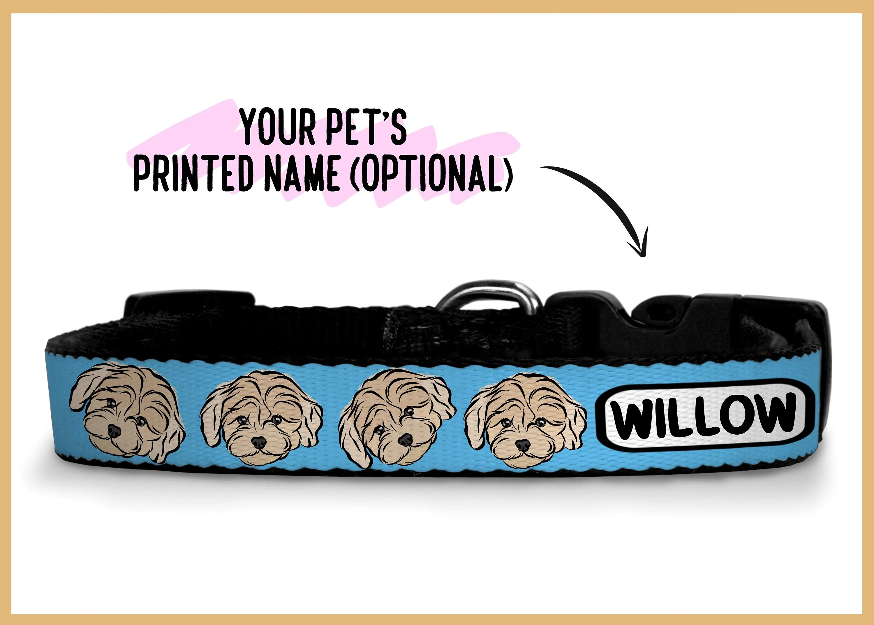 Maltipoo Dog Collar