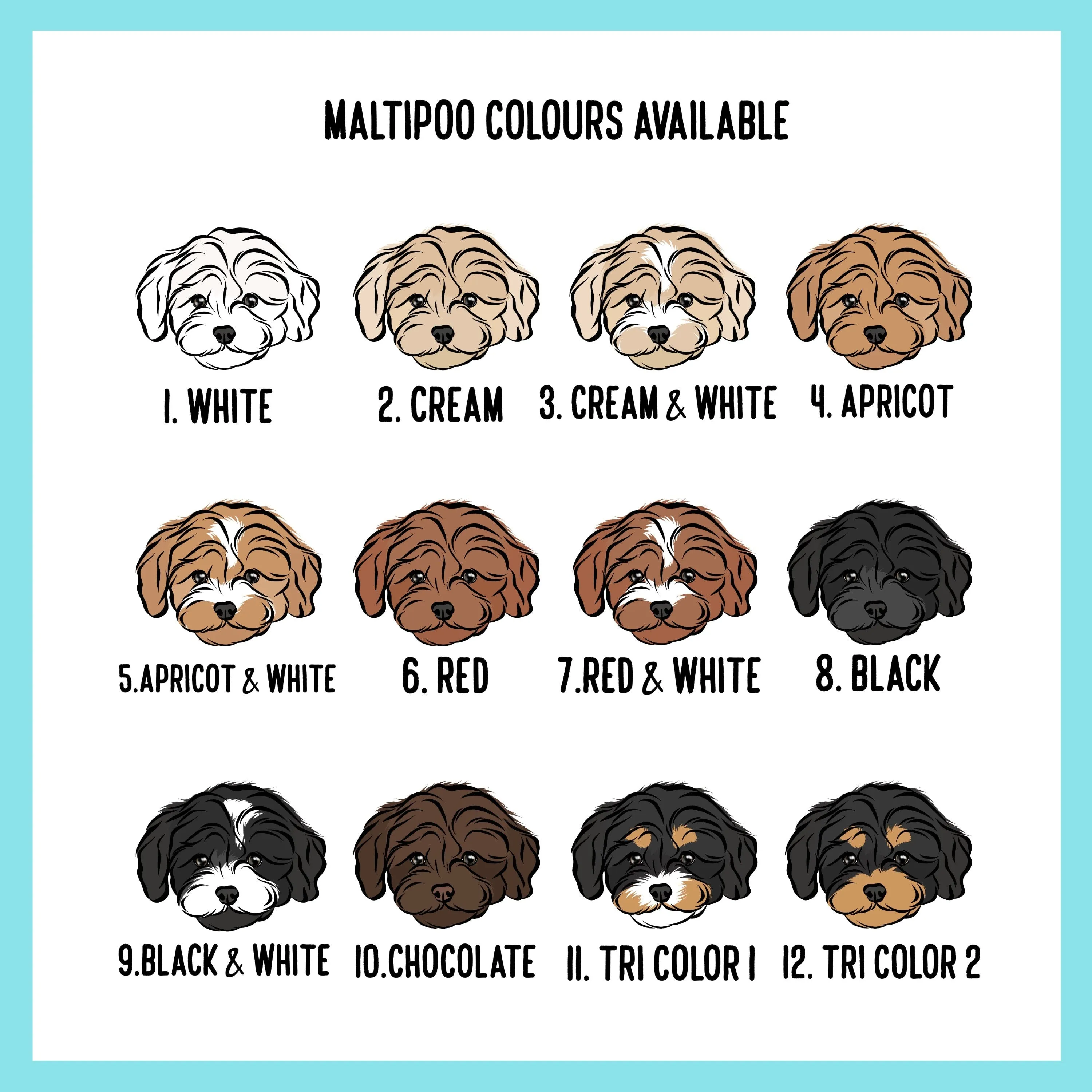 Maltipoo Dog Collar