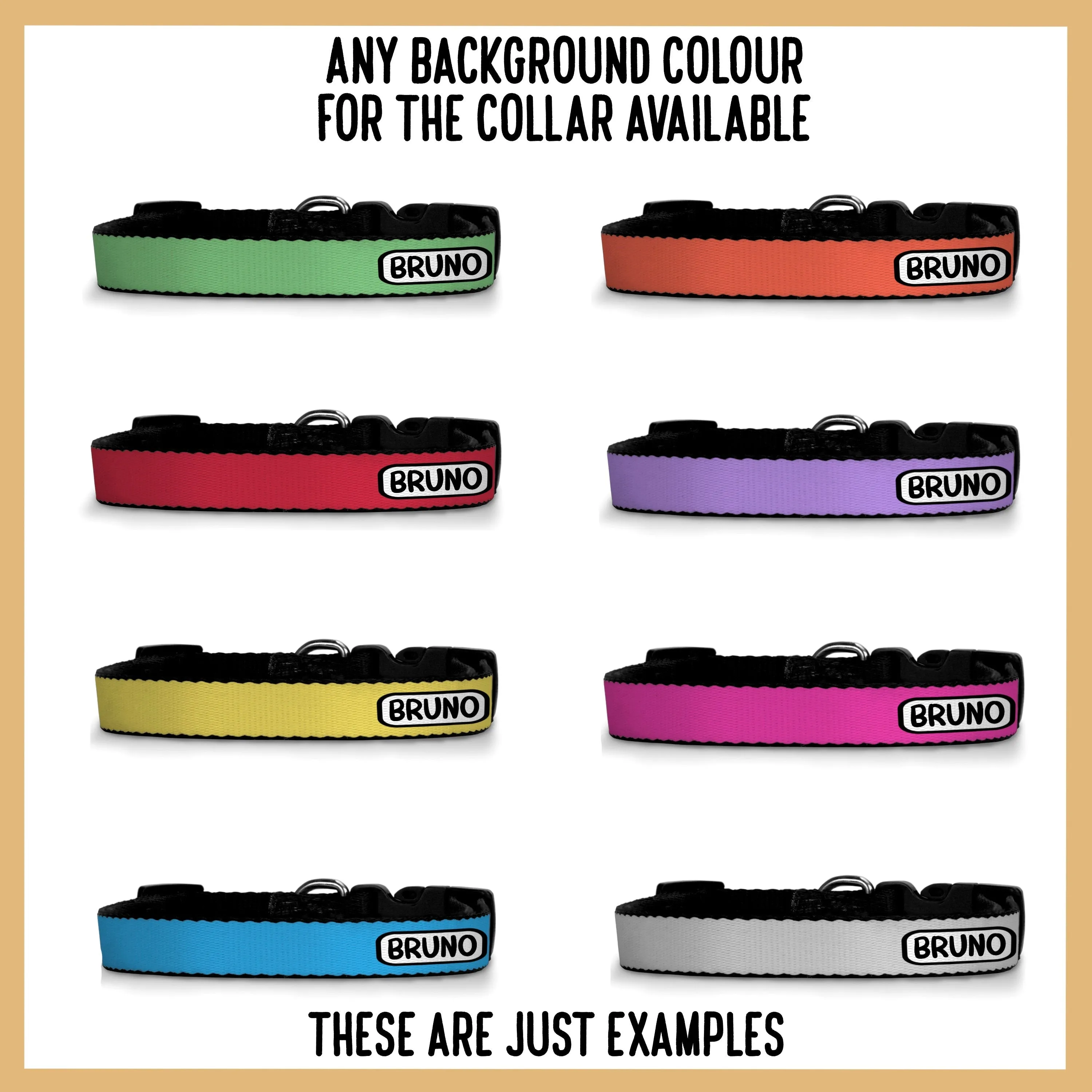 Maltipoo Dog Collar