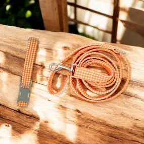 Orange Gingham | Collar and Leash Set