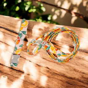 Oranges | Collar and Leash Set