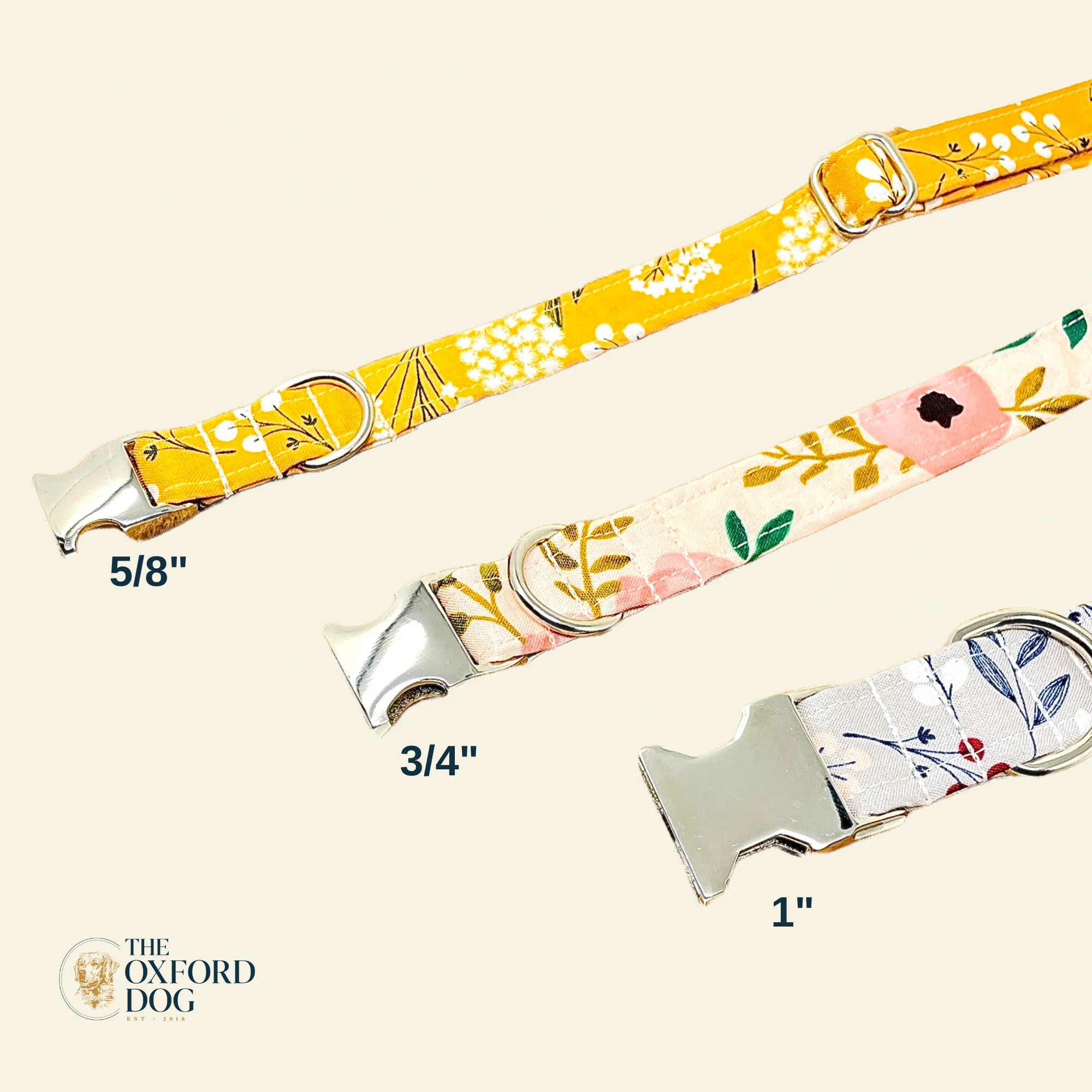 Oranges | Collar and Leash Set