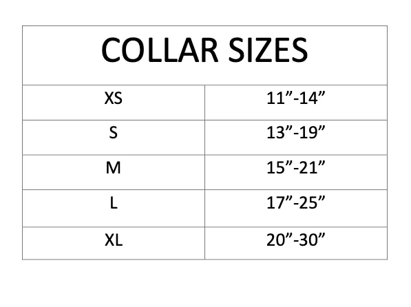 PIG PARTY Collar