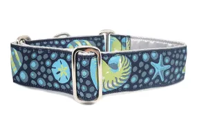 Seashells - Martingale Dog Collar or Buckle Dog Collar - 1.5" Width