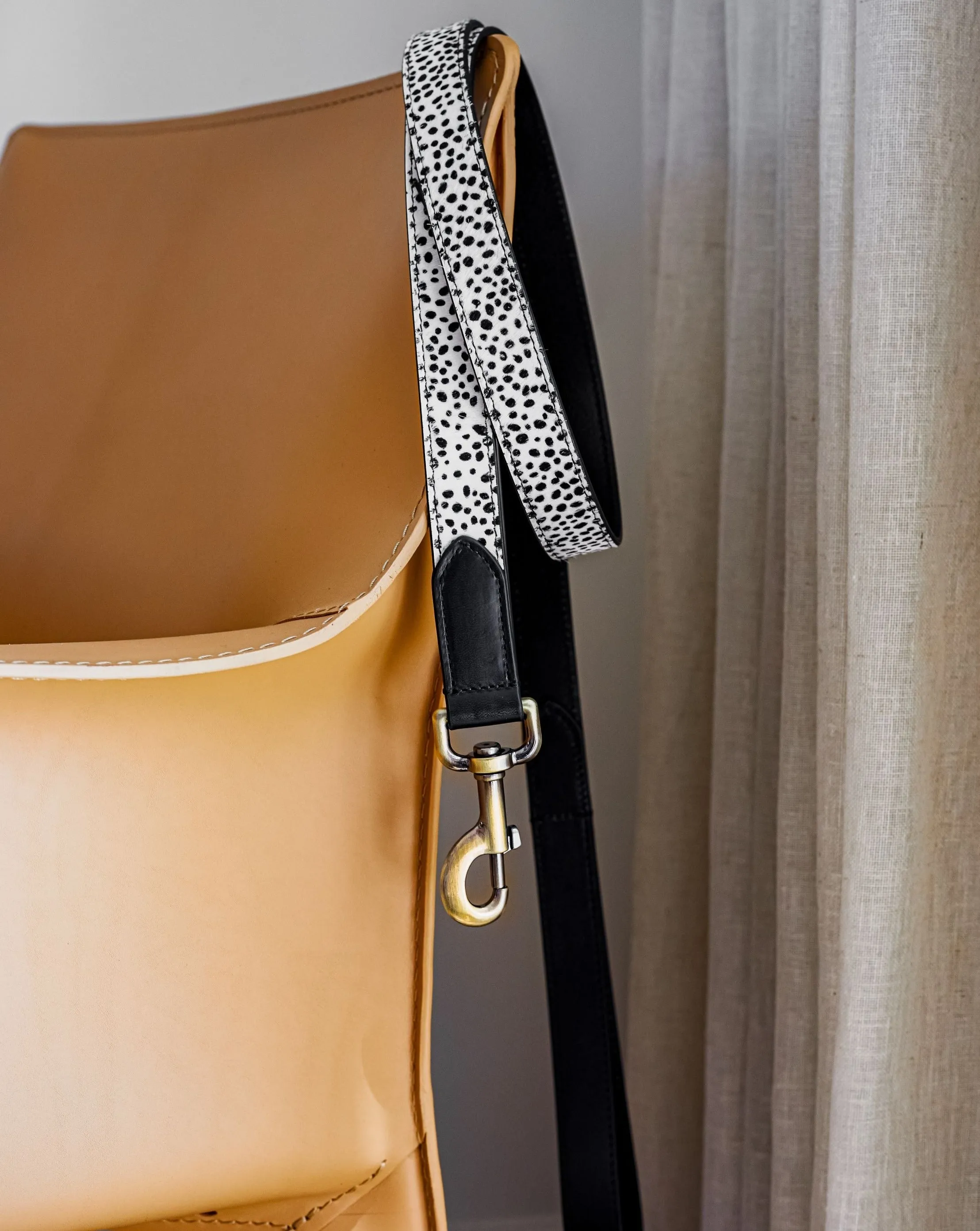 Wylde Black Spotted Dog Bundle