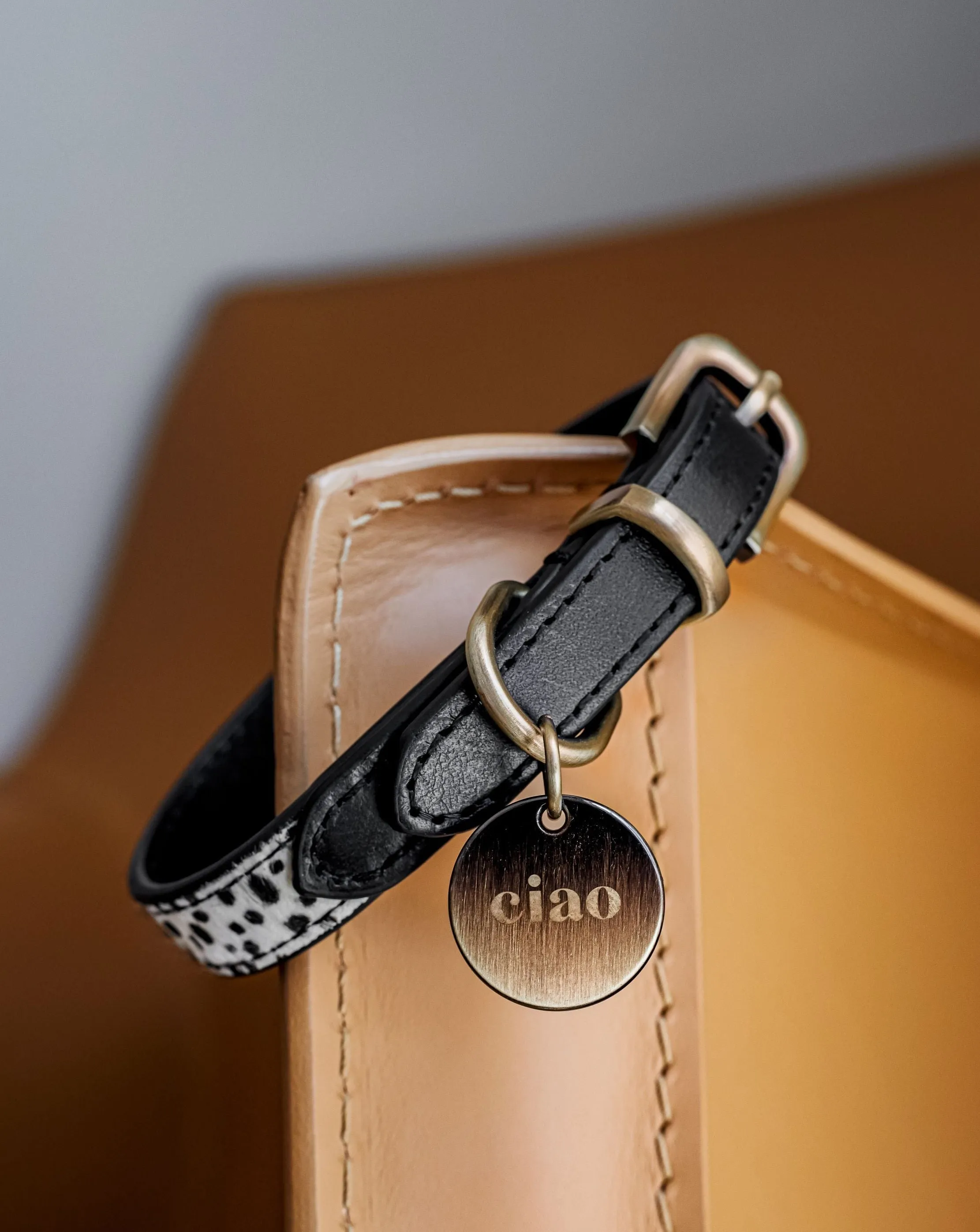 Wylde Black Spotted Dog Bundle